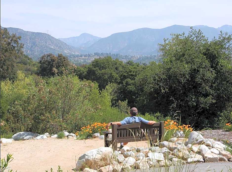 SoCal Lux on Miramar