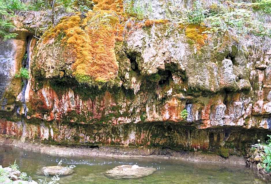 Hotel Auberge Rustique