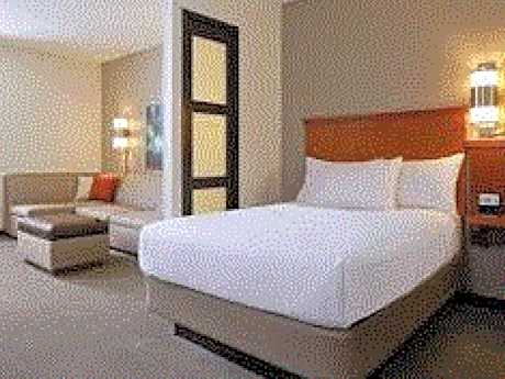 King Room with Sofa Bed and Accessible Tub - Disability Access