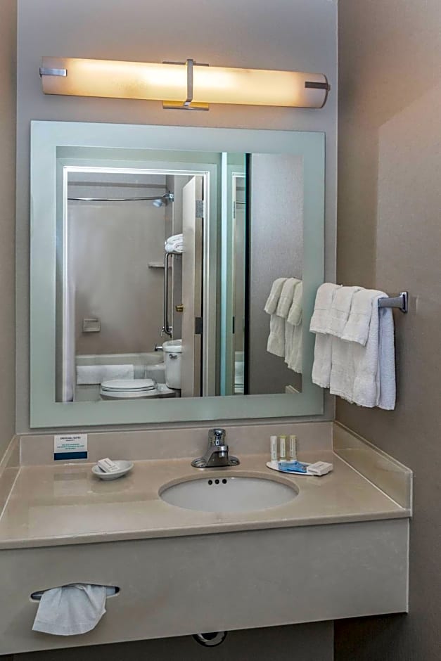 SpringHill Suites by Marriott Fairbanks