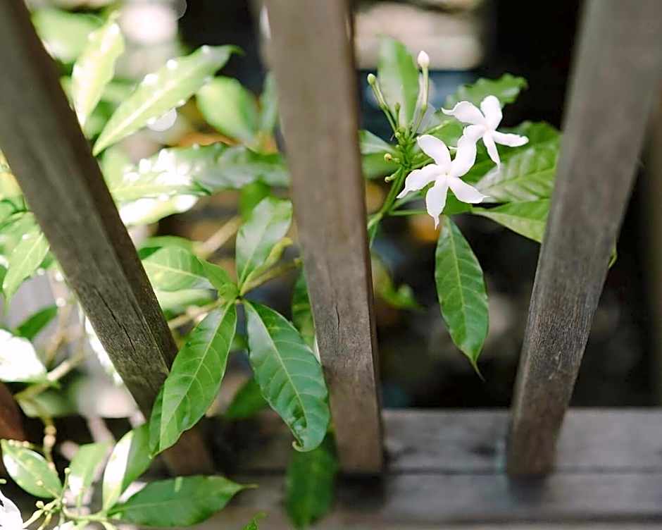 Phang Nga Origin Hotel