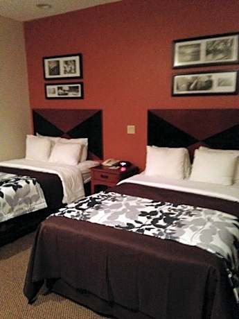 Double Room with Two Double Beds - Accessible/Non-Smoking