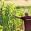 TerraVita Winery & Boutique Apartments