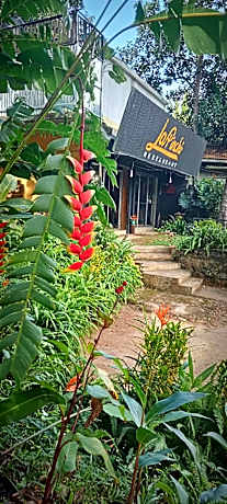 La Pinchi Restaurant 