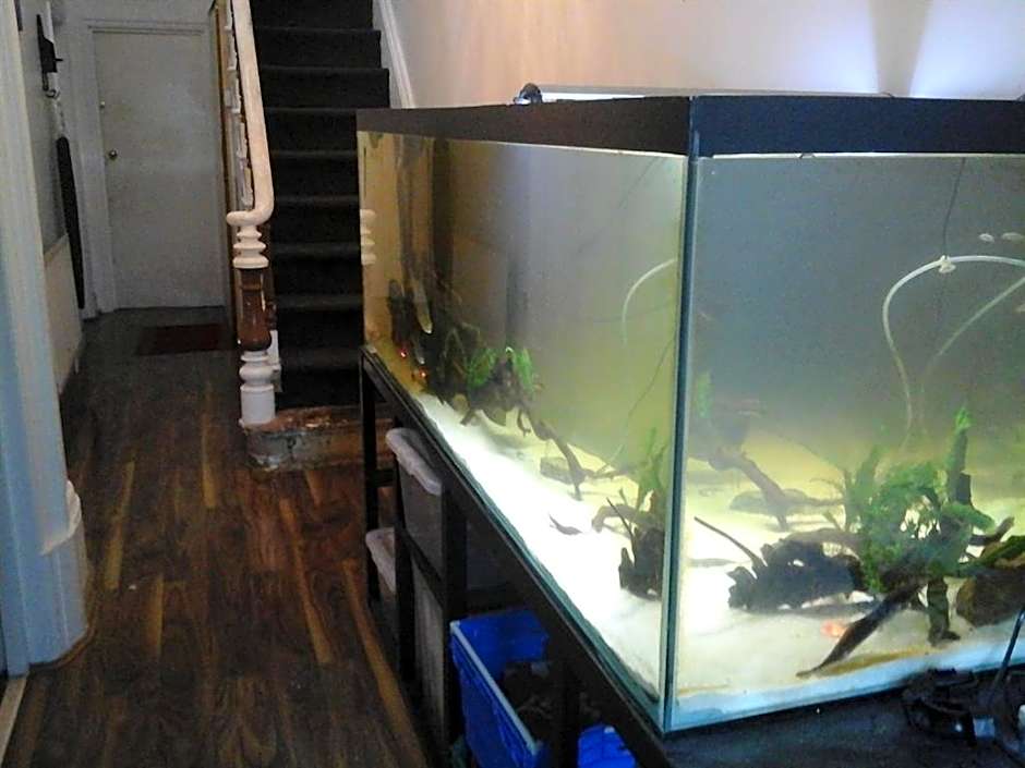 Heavenly Nights Guest House