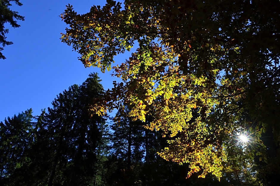 Hotel Garnì Sant'Antonio con Spa