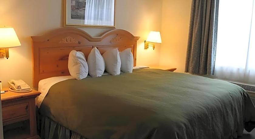 Country Inn & Suites by Radisson, Dundee, MI