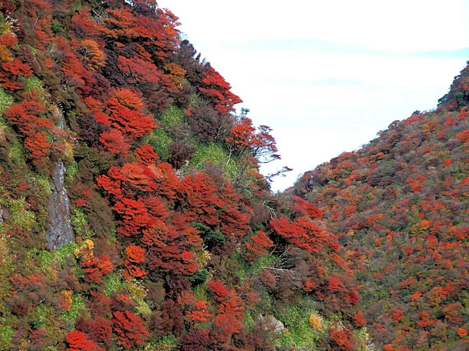 Minshuku Unzen