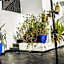 Riad THALGE