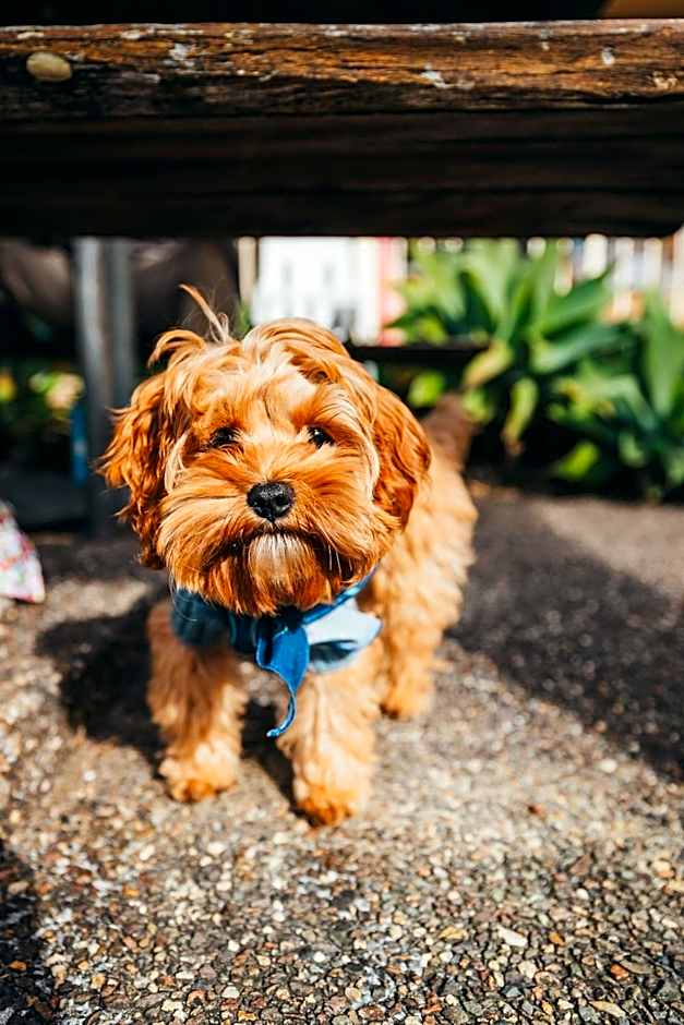 Holiday Haven Burrill Lake