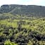 Au Relais Provencal