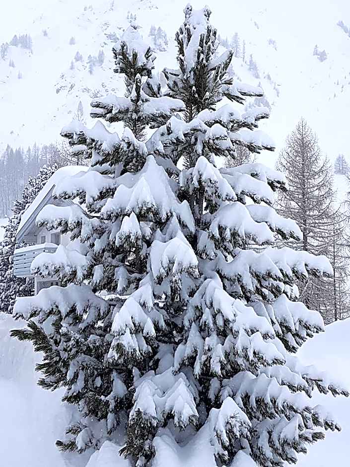 Apart-Garni Motnaida