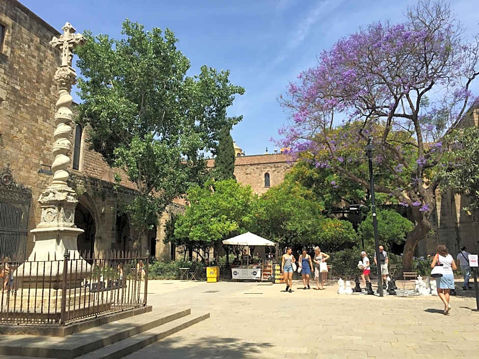 BCN Home Guest House
