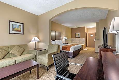 1 King Bed Nonsmoking Accessible