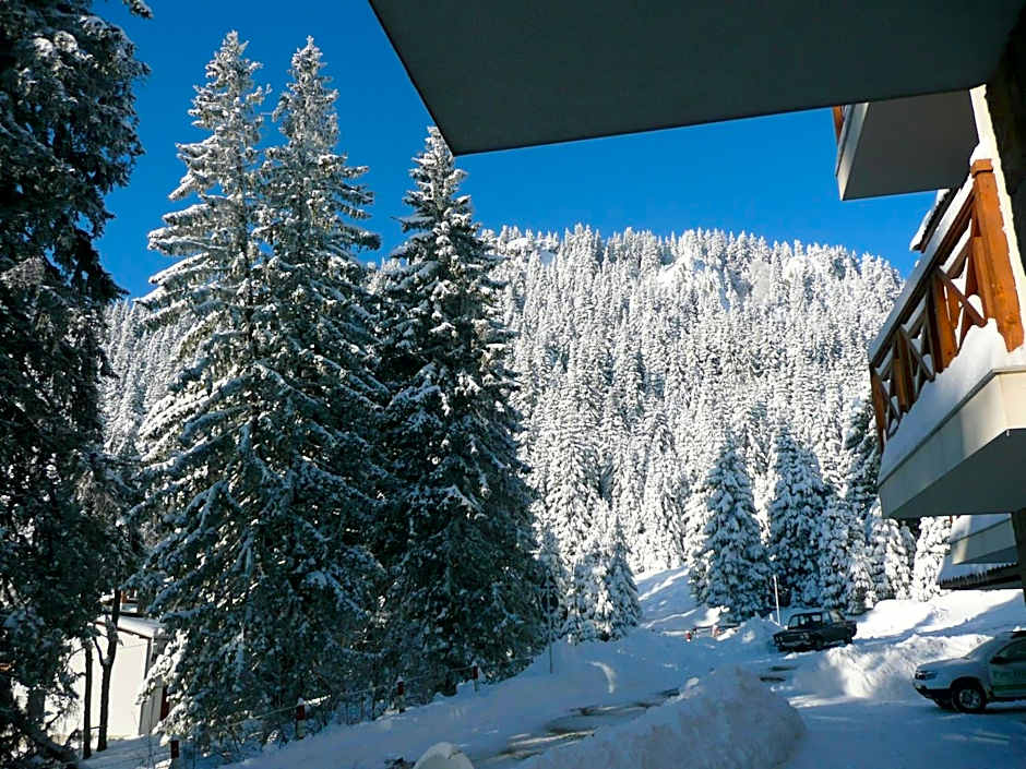 Aparthotel Pine Hills Pamporovo