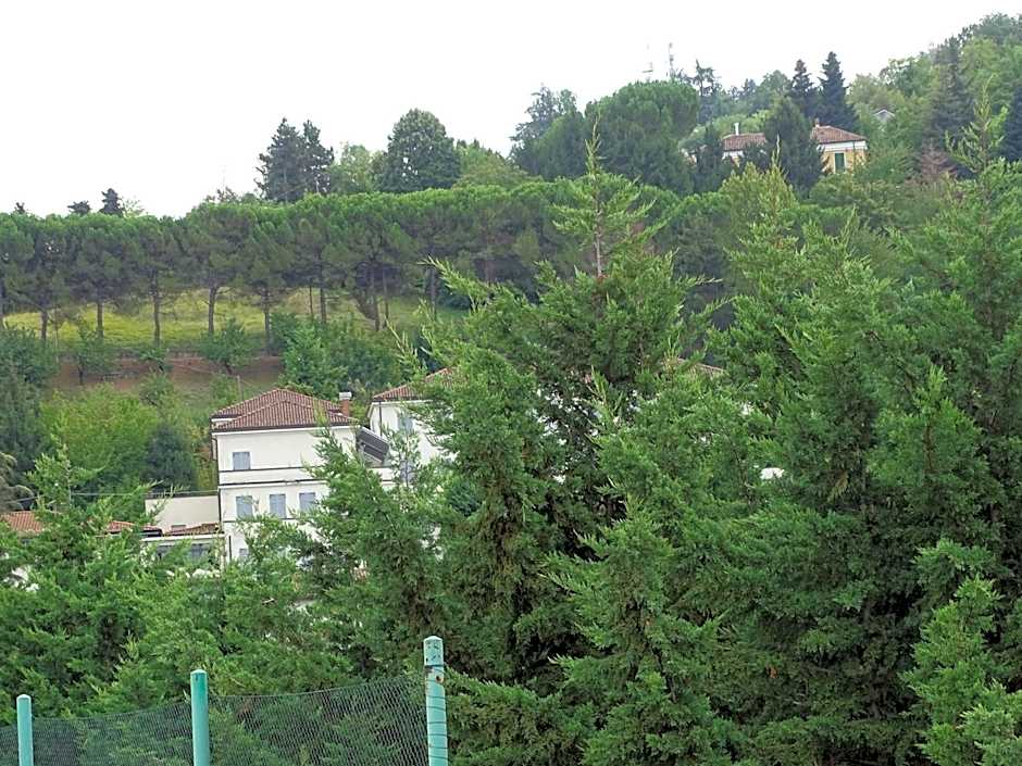 La Pajassa