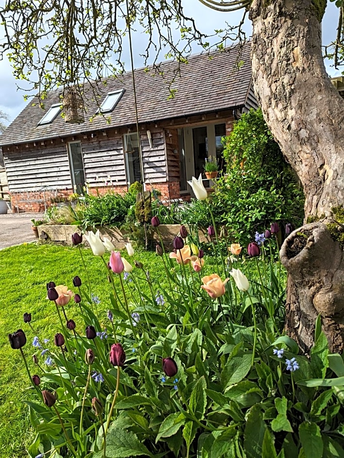 The Dorm Bed and Breakfast
