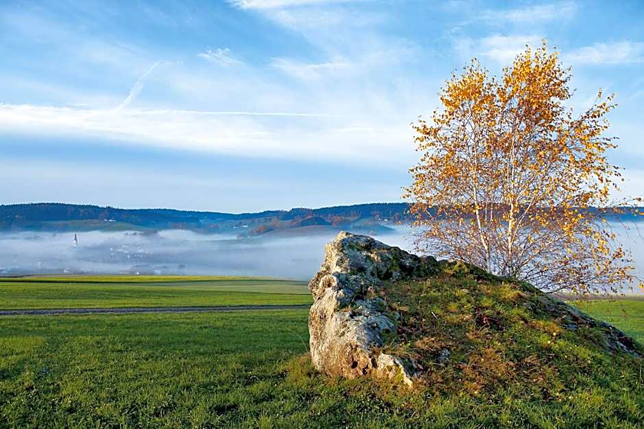 Best Western Aparthotel Birnbachhohe