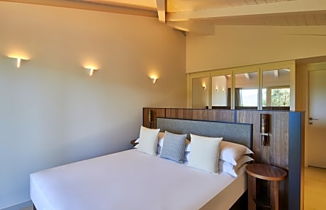 King Deluxe Accessible Room