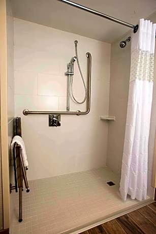1 King Mobility/Hearing Acc Ri Shower Nosmok