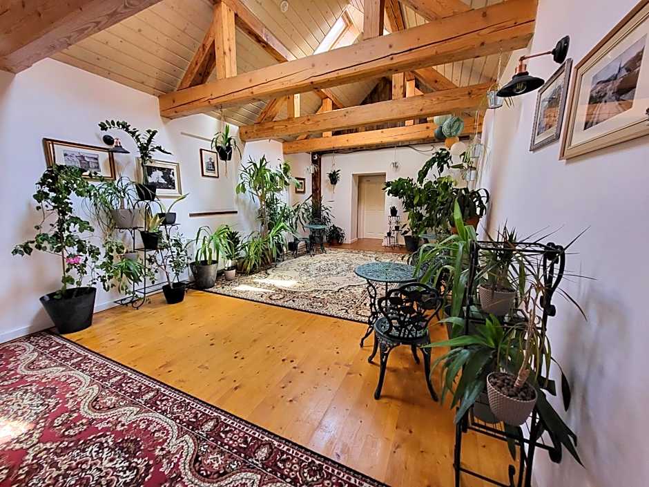 HoStel Cosmopolitan*