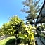 Dalyan Risus Suite