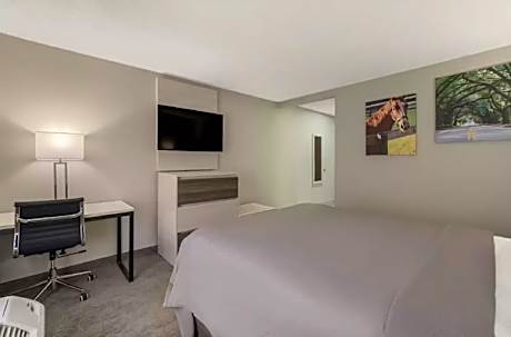 1 Queen Bed, Suite, Nonsmoking