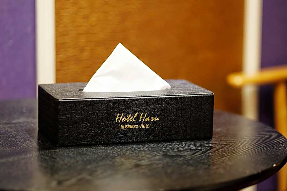 Jeonju Sanjeongdong Hotel Haru
