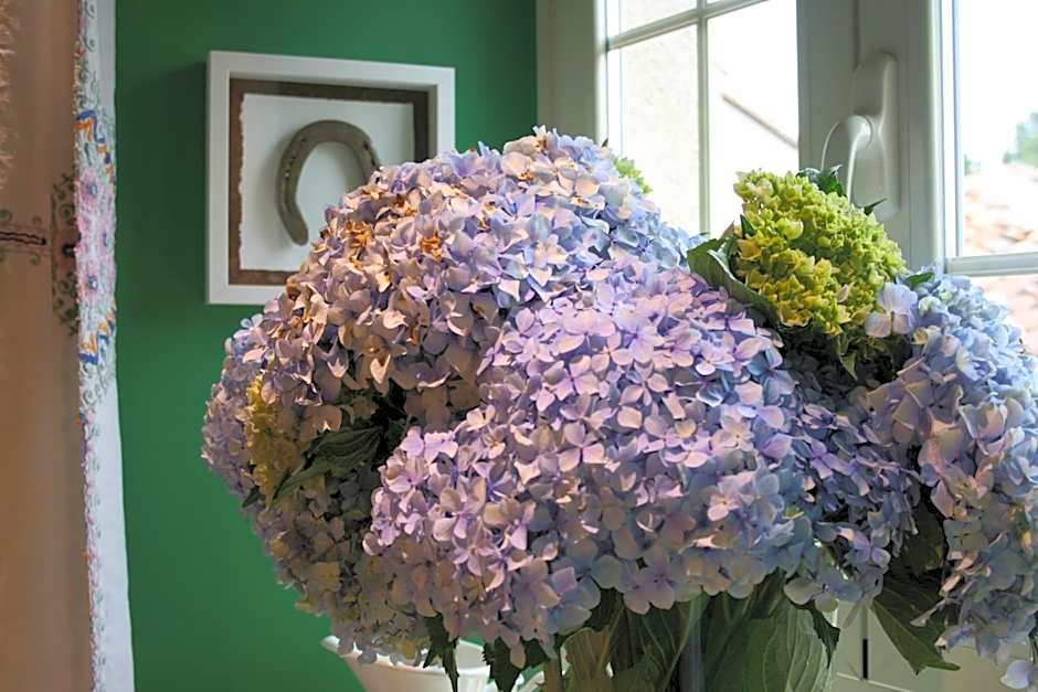 CASA LEOPOLDO CAMINO DE SANTIAGO