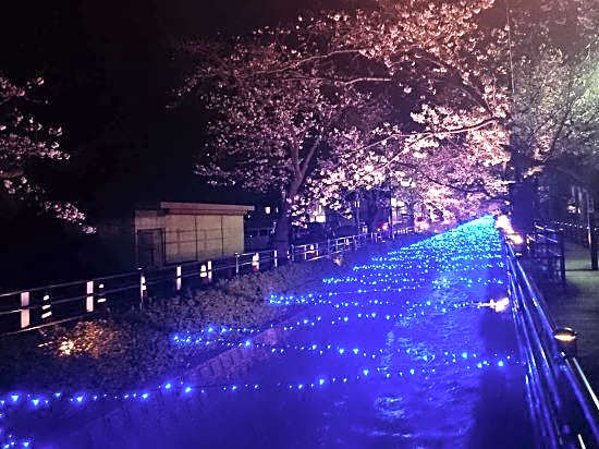Itoyanagi