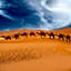 Merzouga heart camp