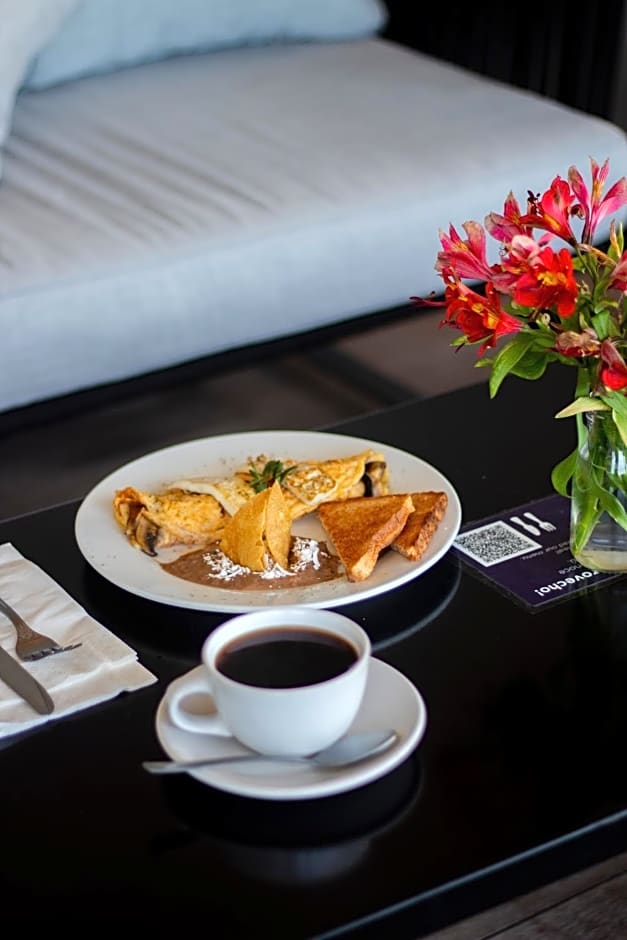 Holiday Inn Express Mexico City Satelite By IHG