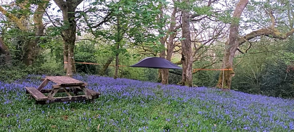 Henllys Estate B and B