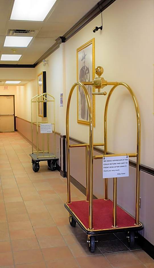 Elite Hotel -Downtown Center- "Ski & Northern light Tour" "Hot Spring Tour "Long-term stay"