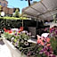 Hotel Ausonia B&B RiMiNi
