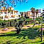 ALEGRIA Pino Alto