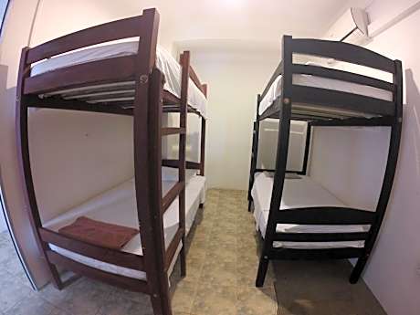 Bed in 4-Bed Mixed Dormitory Room