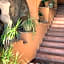 Andromaco Palace Hotel