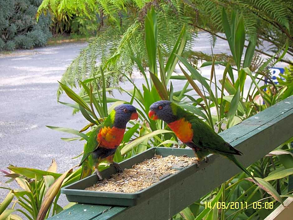 Mallacoota's Shady Gully Caravan Park