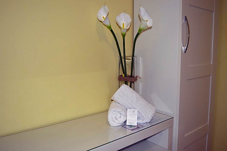 The Way Hotel Molinaseca