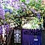 Bowral Road Bed and Breakfast