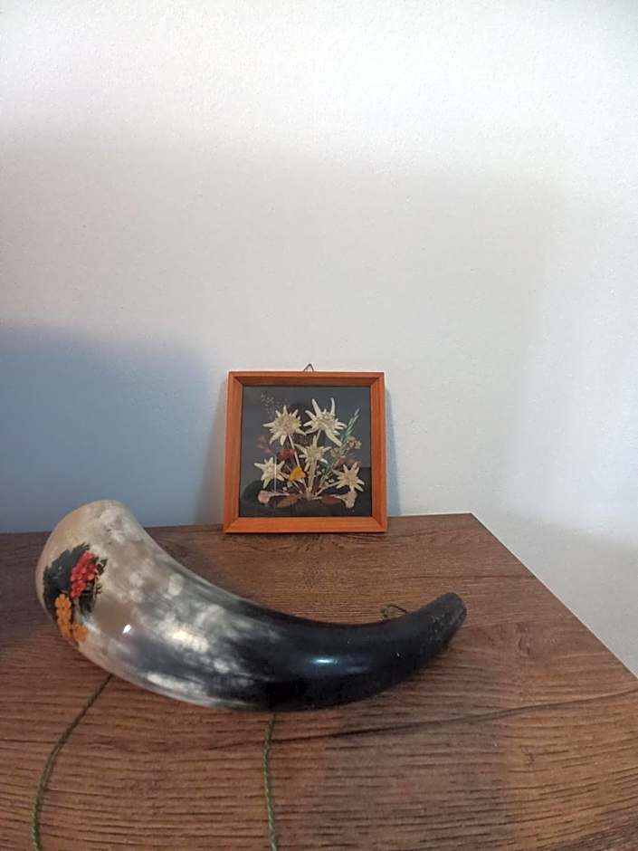 Winslow Highland Bansko - Apartment Giovanni, ул Валевица 7 кв Грамадето