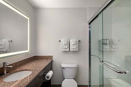 One-Bedroom King Suite