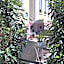 DK Hotel Heidelberg