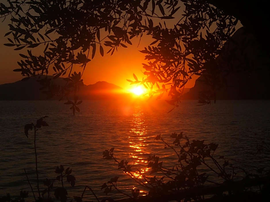 La Foresta Monteisola