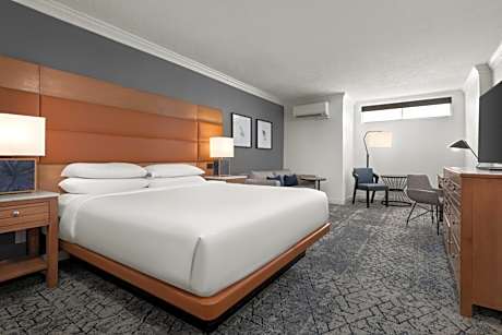 King Room with No Window and Sofa Bed - Hearing Accessible