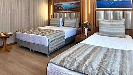 Comfort Triple Room