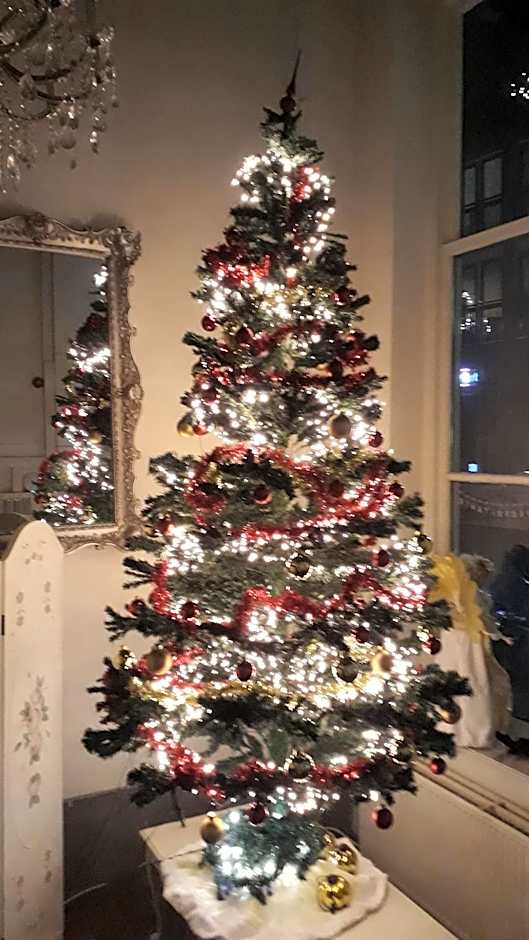 De Zevenster "gevestigd aan de winkelstraat"