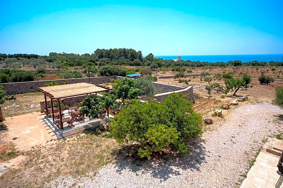 Antica Masseria Ficazzana - Tenuta