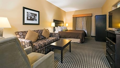 Suite-1 King Bed, Non-Smoking, Sitting Area With Sofabed, Wet Bar, Continental Breakfast